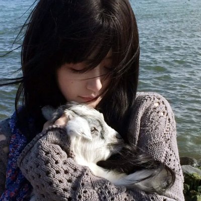 荒野独居第十季
