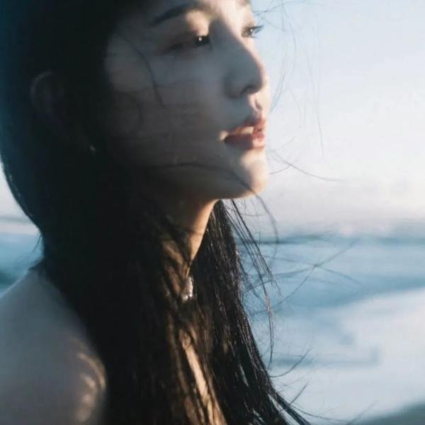 飞翼振四方